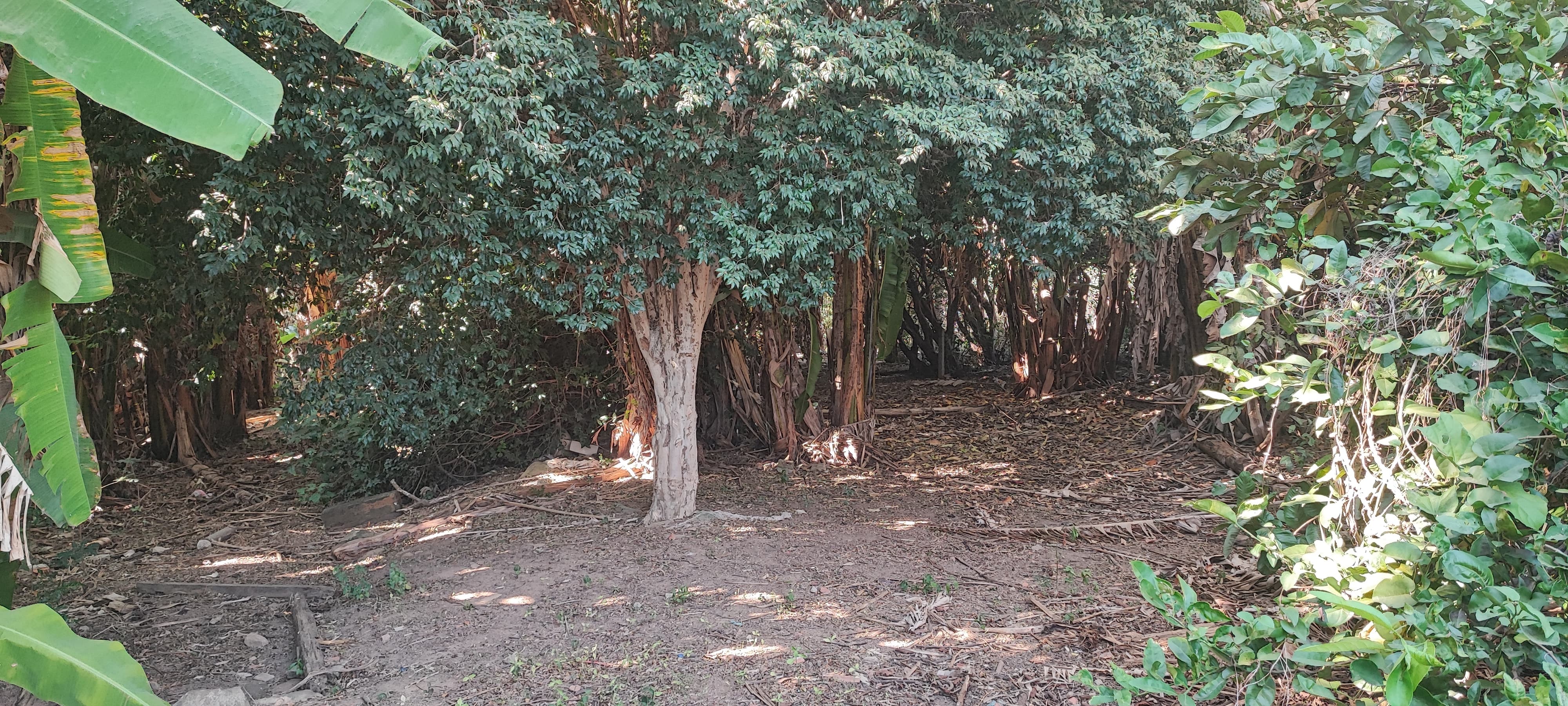 #211 - Chácara para Venda em Campinas - SP