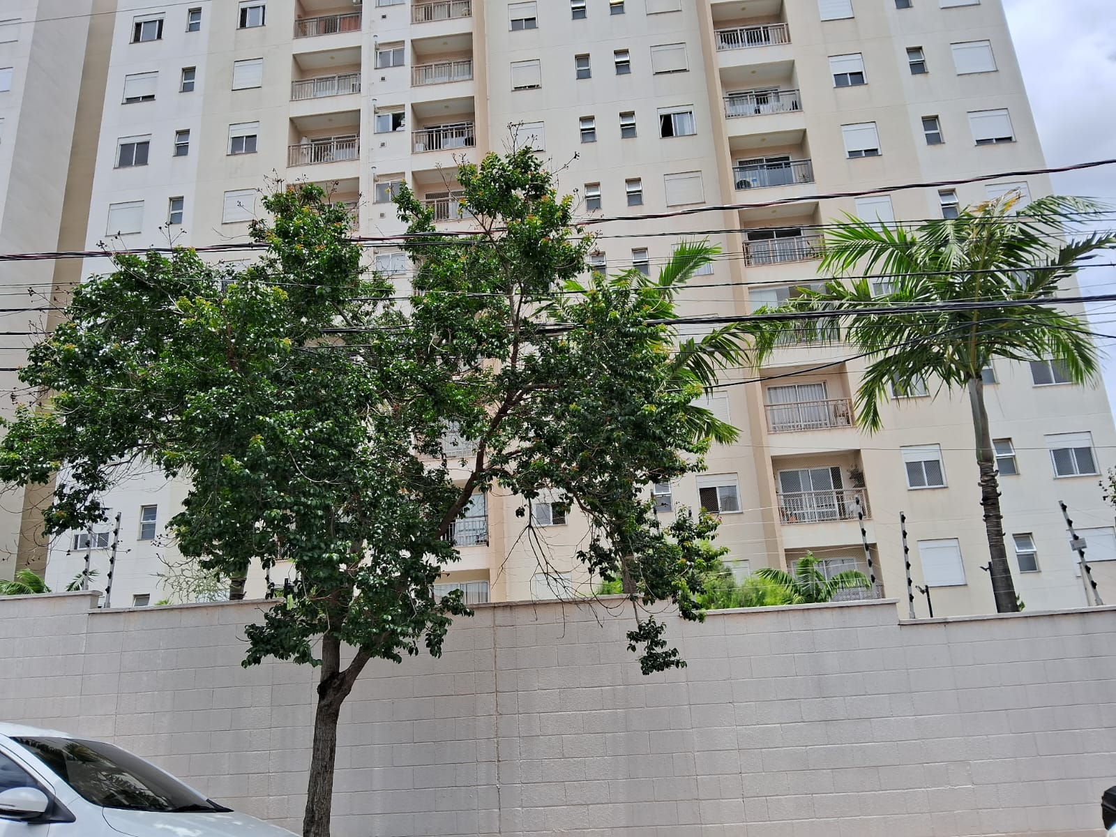 #292 - Apartamento para Venda em Campinas - SP