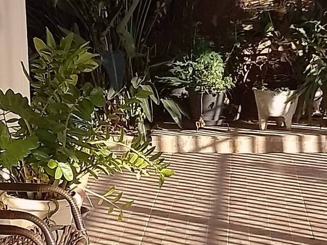 Casa para Venda em Campinas - 4