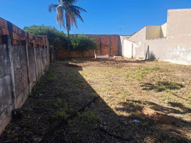 #203 - Área para Venda em Campinas - SP - 1