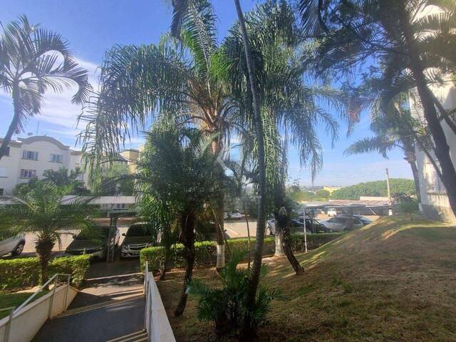 #217 - Apartamento para Venda em Campinas - SP - 1