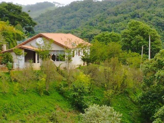 #243 - Chácara para Venda em Campinas - SP - 1