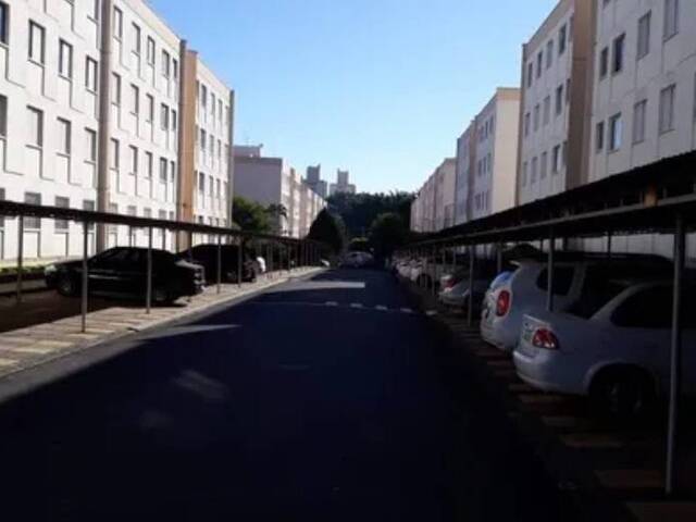 #244 - Apartamento para Venda em Campinas - SP - 3