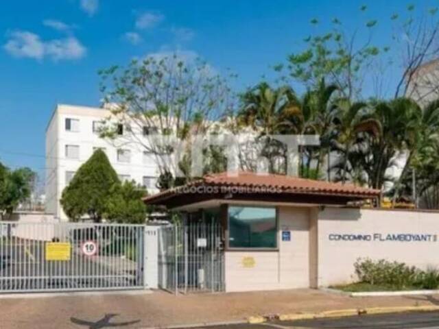#244 - Apartamento para Venda em Campinas - SP - 1