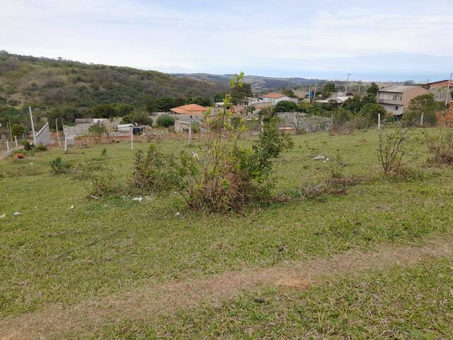 #245 - Área para Venda em Campinas - SP - 2