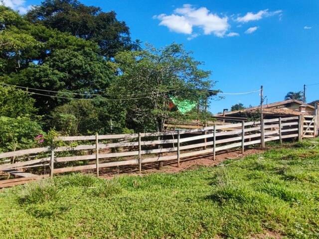 #250 - Chácara para Venda em Campinas - SP - 1