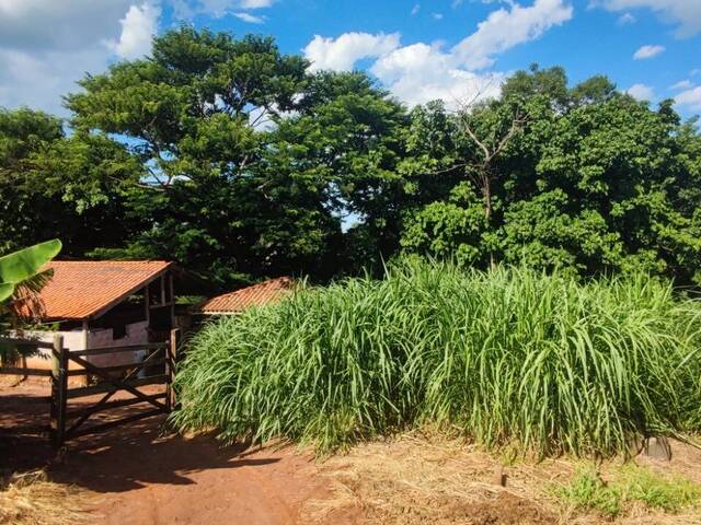 #250 - Chácara para Venda em Campinas - SP - 2