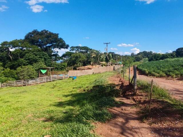 #250 - Chácara para Venda em Campinas - SP - 3