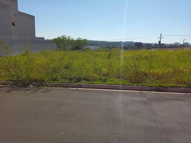 #256 - Área para Venda em Campinas - SP - 2