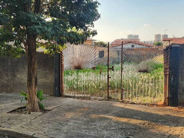 #258 - Área para Venda em Campinas - SP - 2