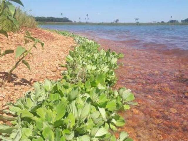 #263 - Área para Venda em Campinas - SP - 2