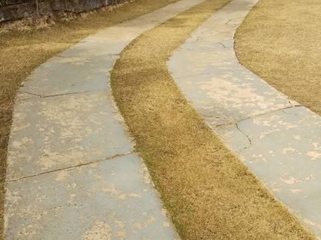 #284 - Chácara para Venda em Campinas - SP - 2